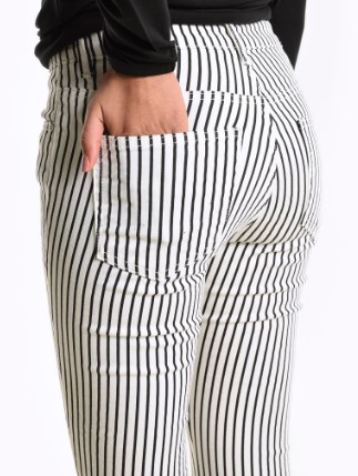 thin stripe stretch canvas Trousers